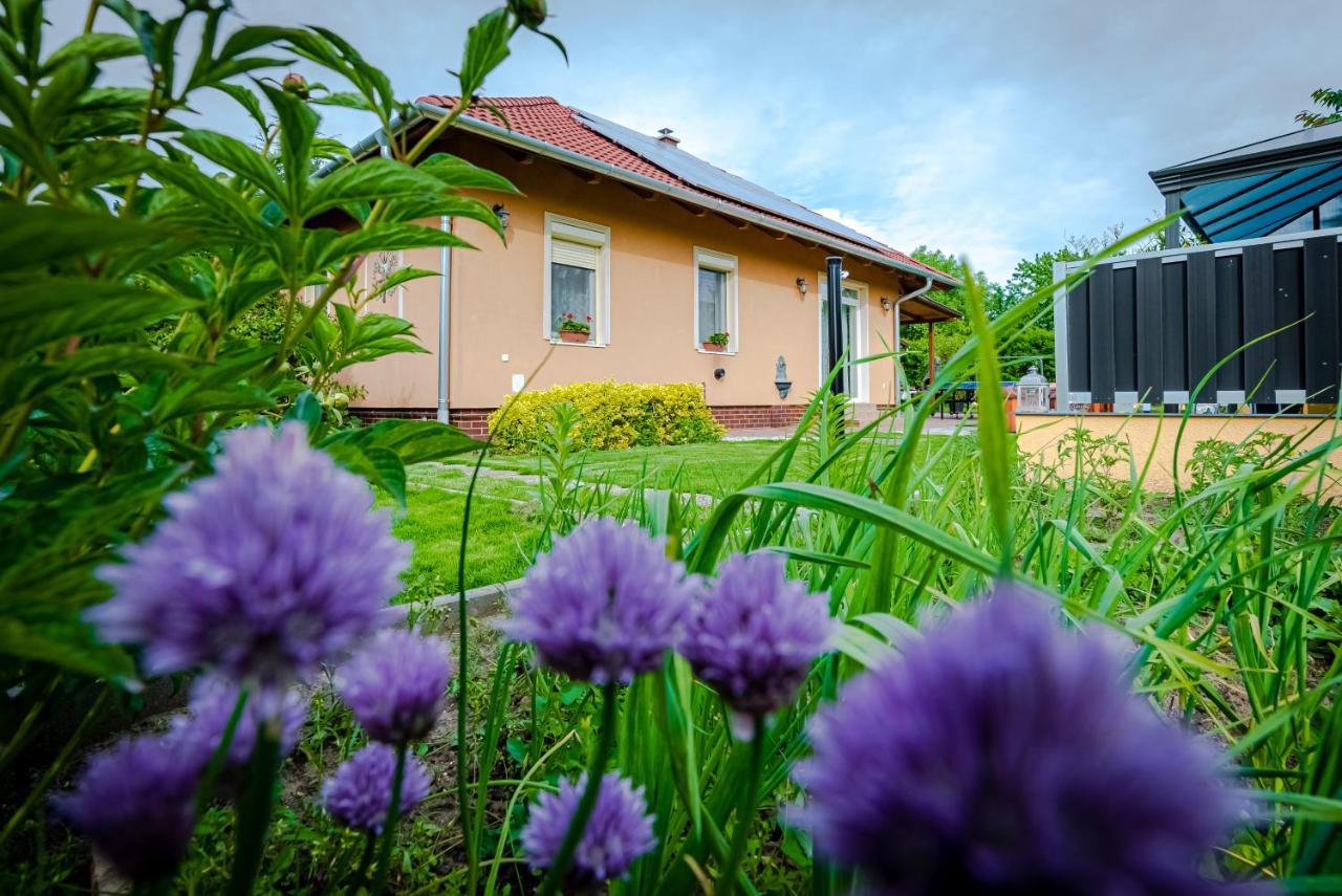 Villa Sunny Garden Pihenohaz à Siófok Extérieur photo